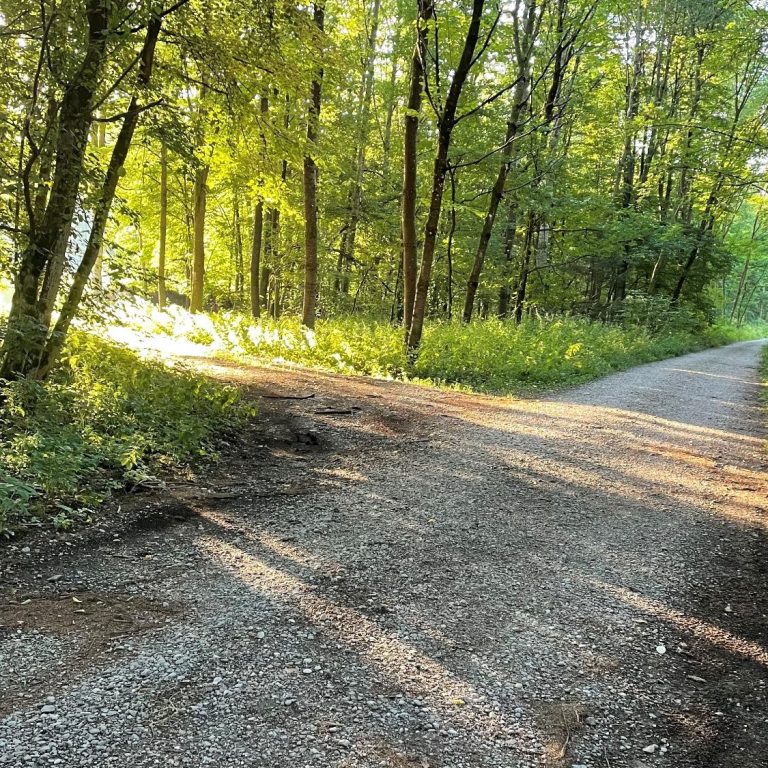 Neue Wege für Ruhe, Vertrauen und innere Balance