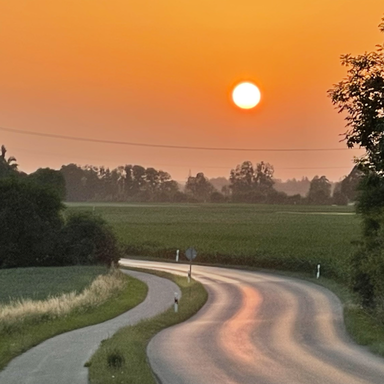 Geschwungener Weg durch die Landschaft im warmen Licht der Abendsonne