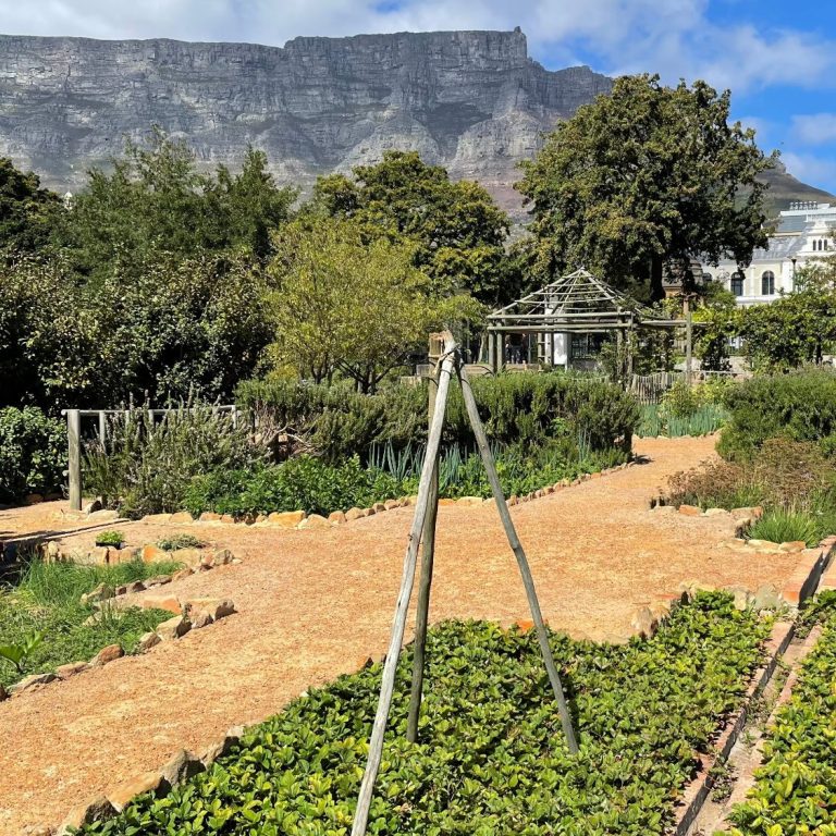 Blick auf den Tafelberg als Symbol für Lebensfreude, Hoffnung und persönliches Wachstum