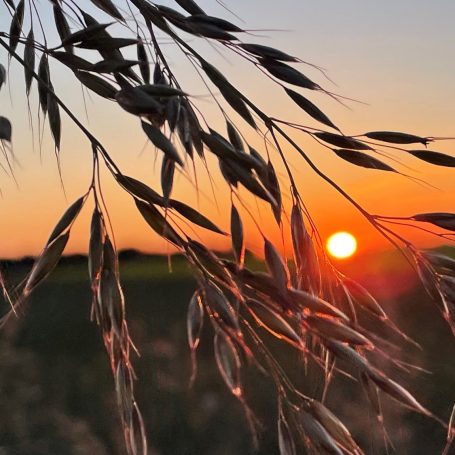 Sonnenuntergang als Ausblick wenn die finanzielle Situation gerade schwierig ist
