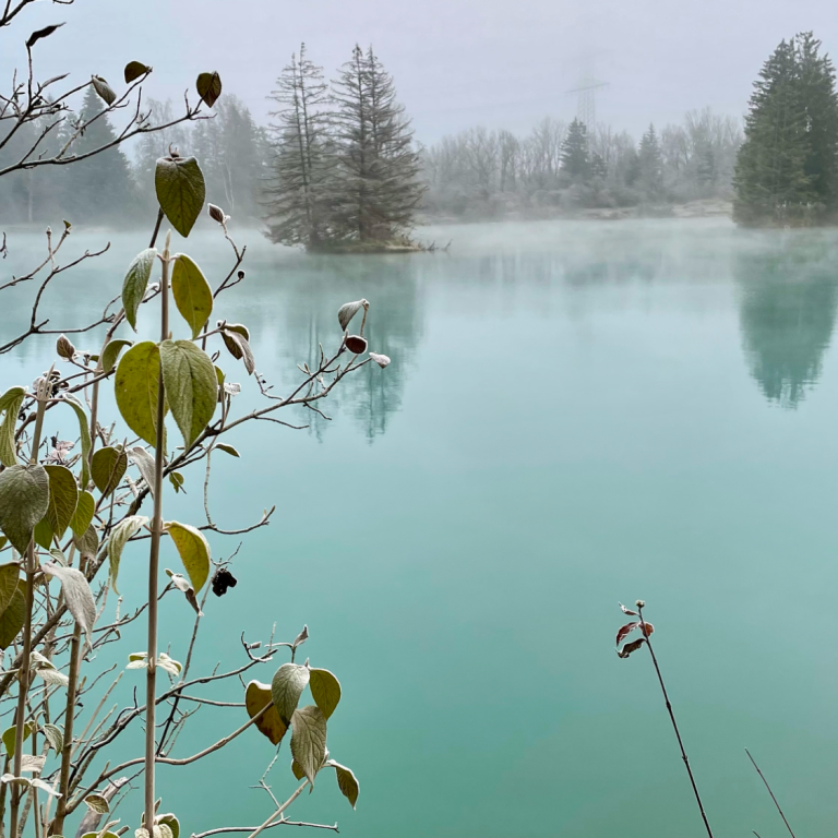 Ruhiger See im Morgennebel als Symbol für Harmonie, Ausgeglichenheit und ein kraftvolles Zuhause