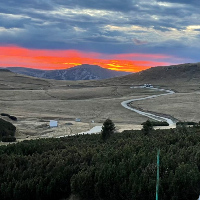 Ein Weg im warmen Abendlicht als Symbol dafür, den eigenen Weg mit Vertrauen zu gehen